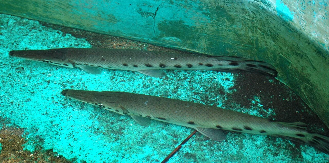 Photo of Jalpa de Méndez