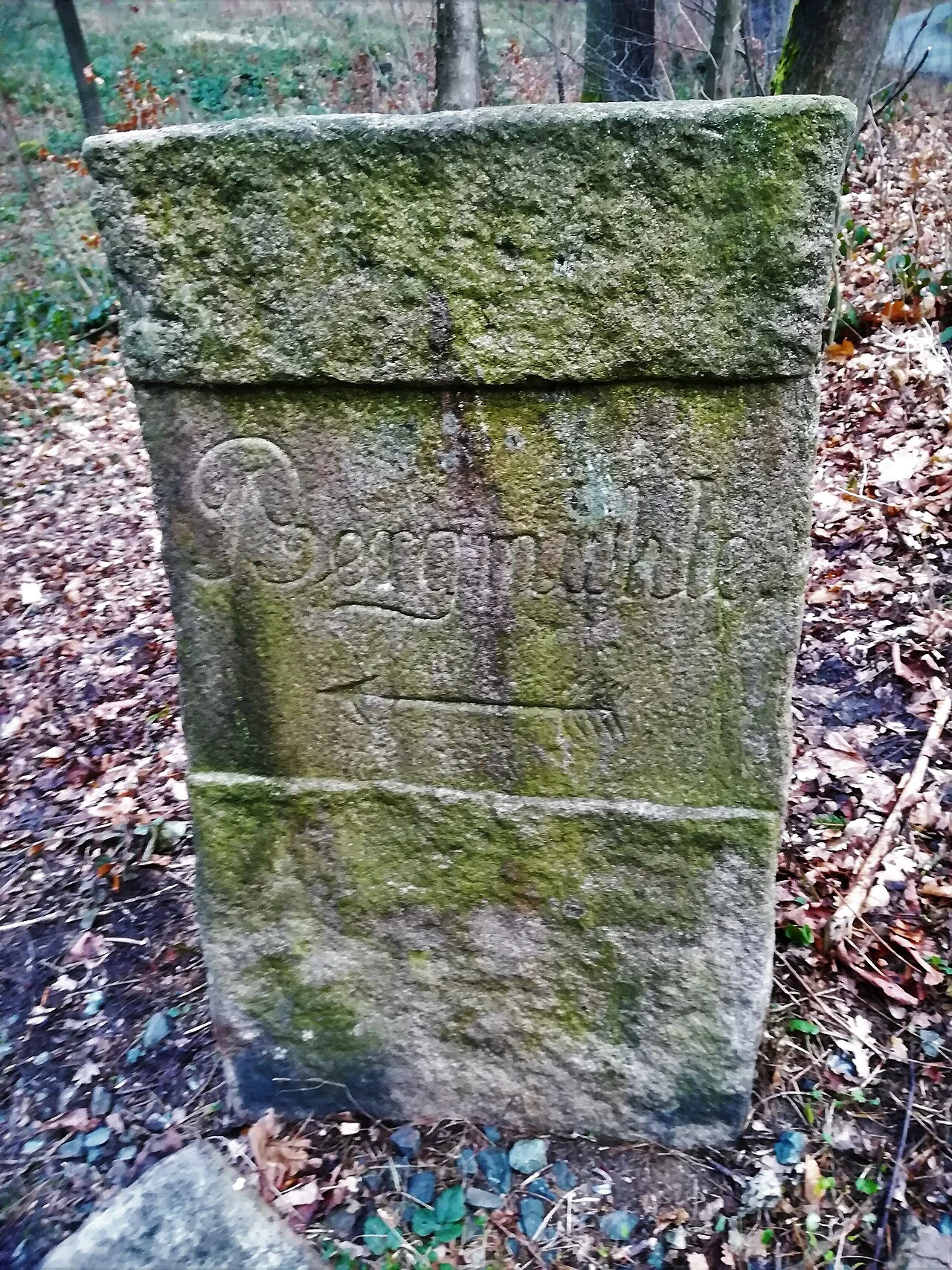 Photo of Janowice Wielkie