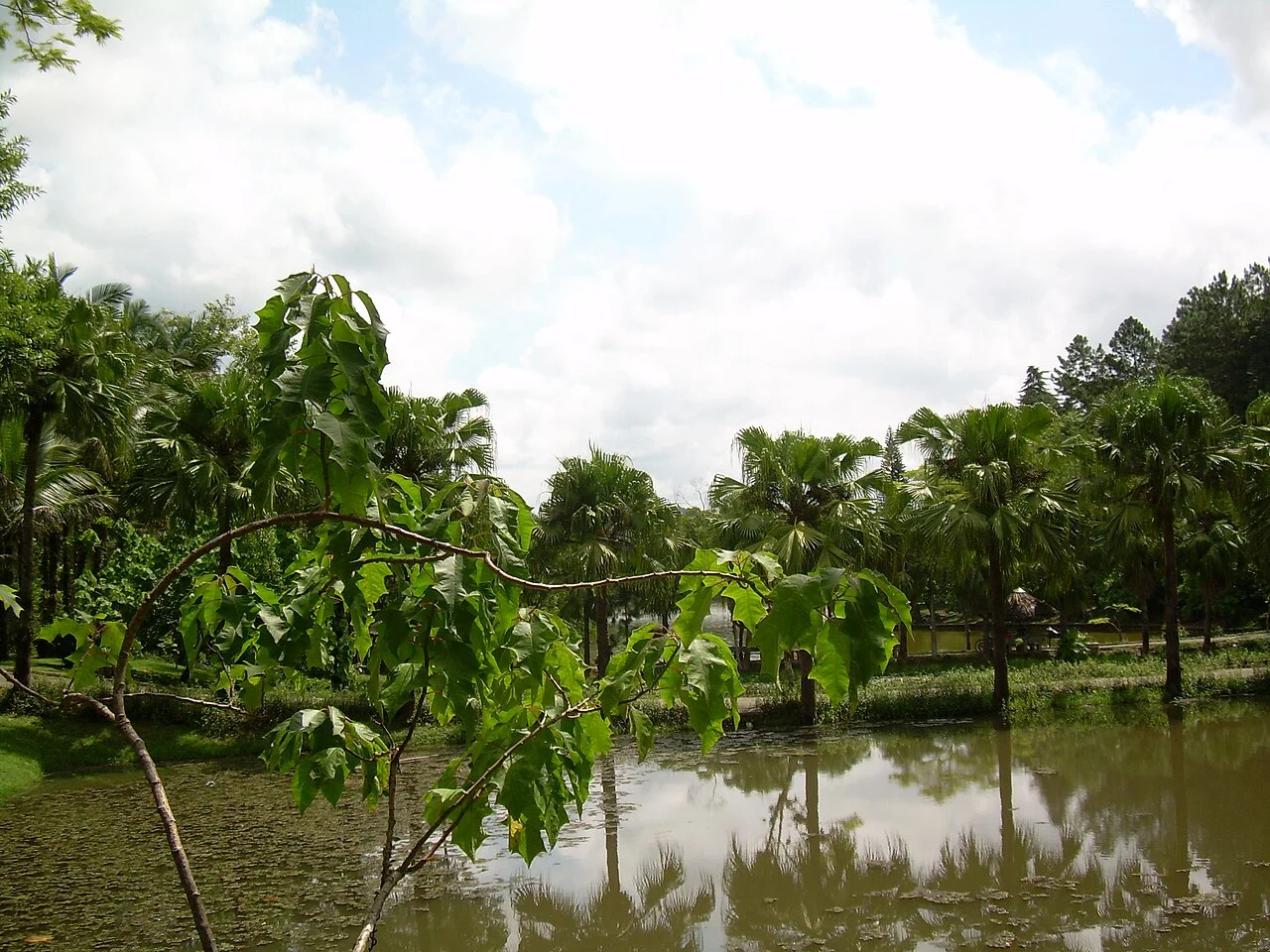 Photo of Jaraguá do Sul