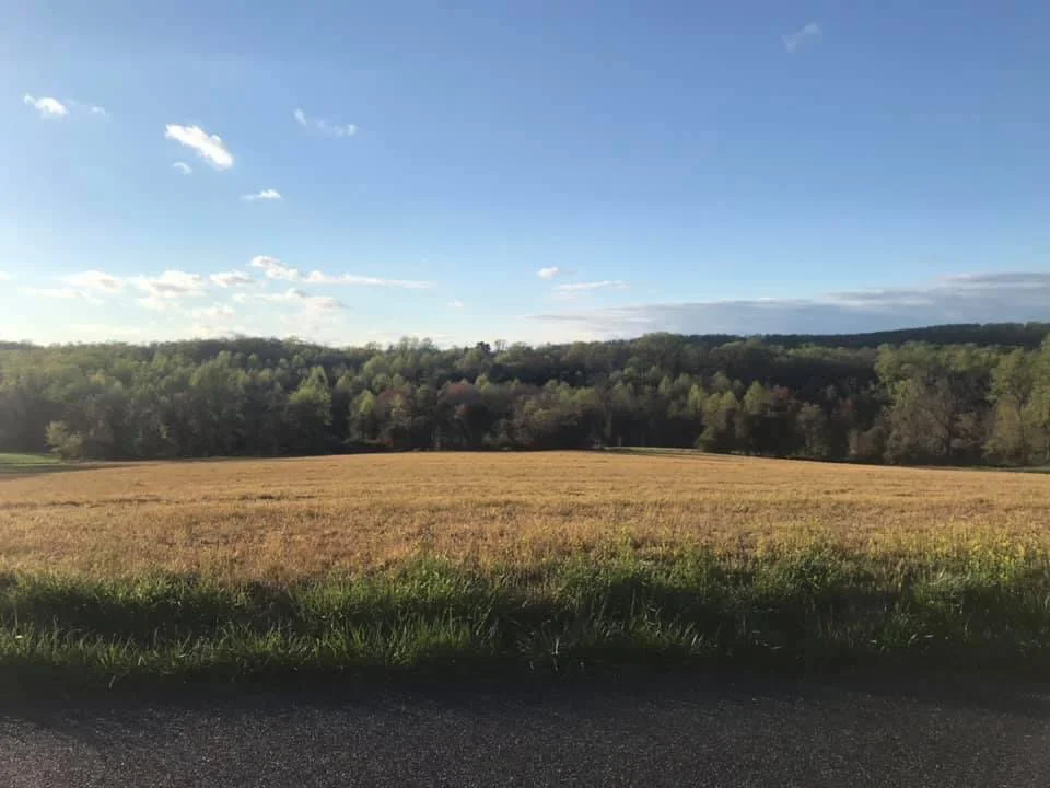 Photo of Jarrettsville