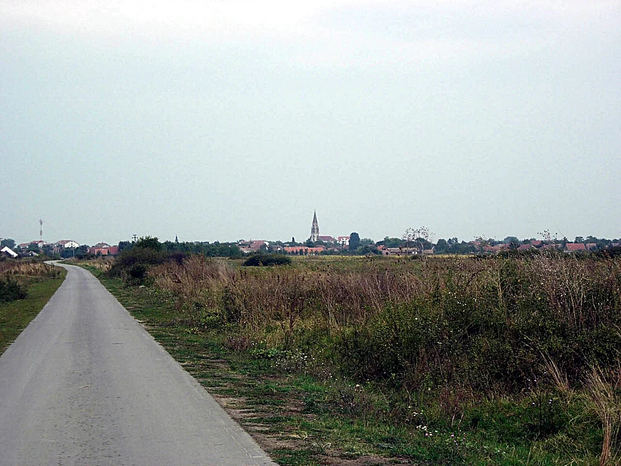 Photo of Jaša Tomić