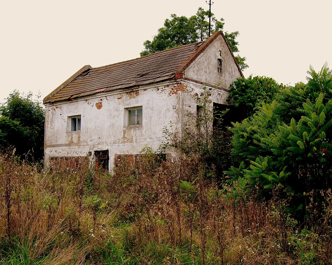 Photo of Jastrzębia