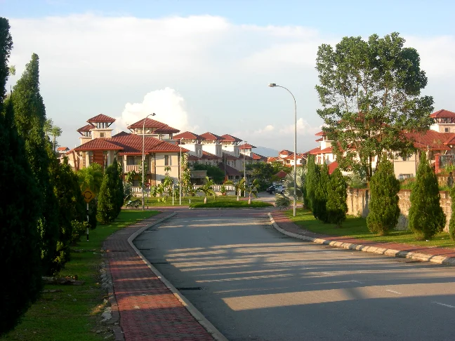Photo of Jelutong