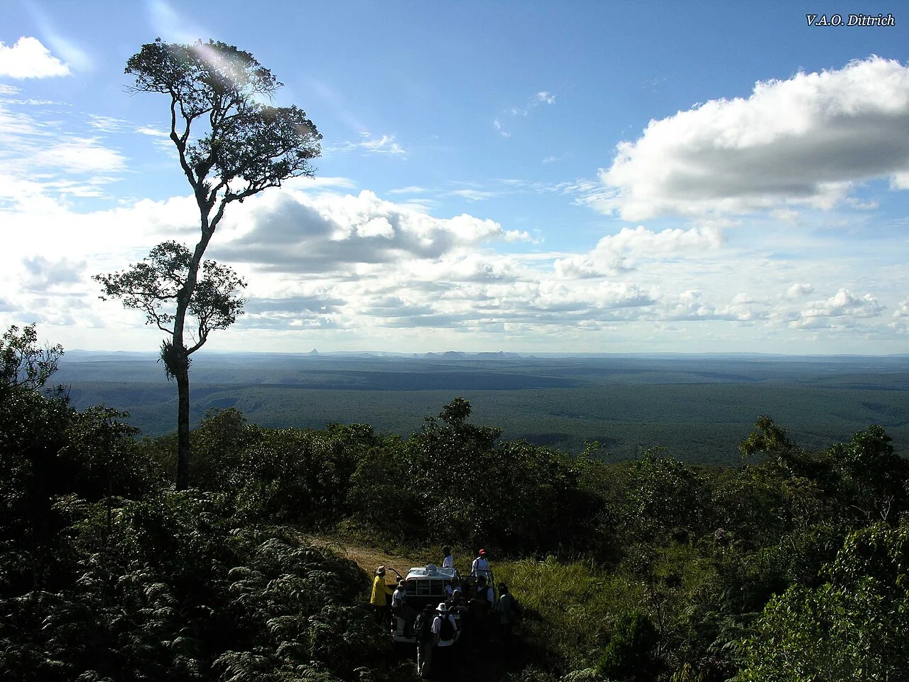 Photo of Jequitinhonha