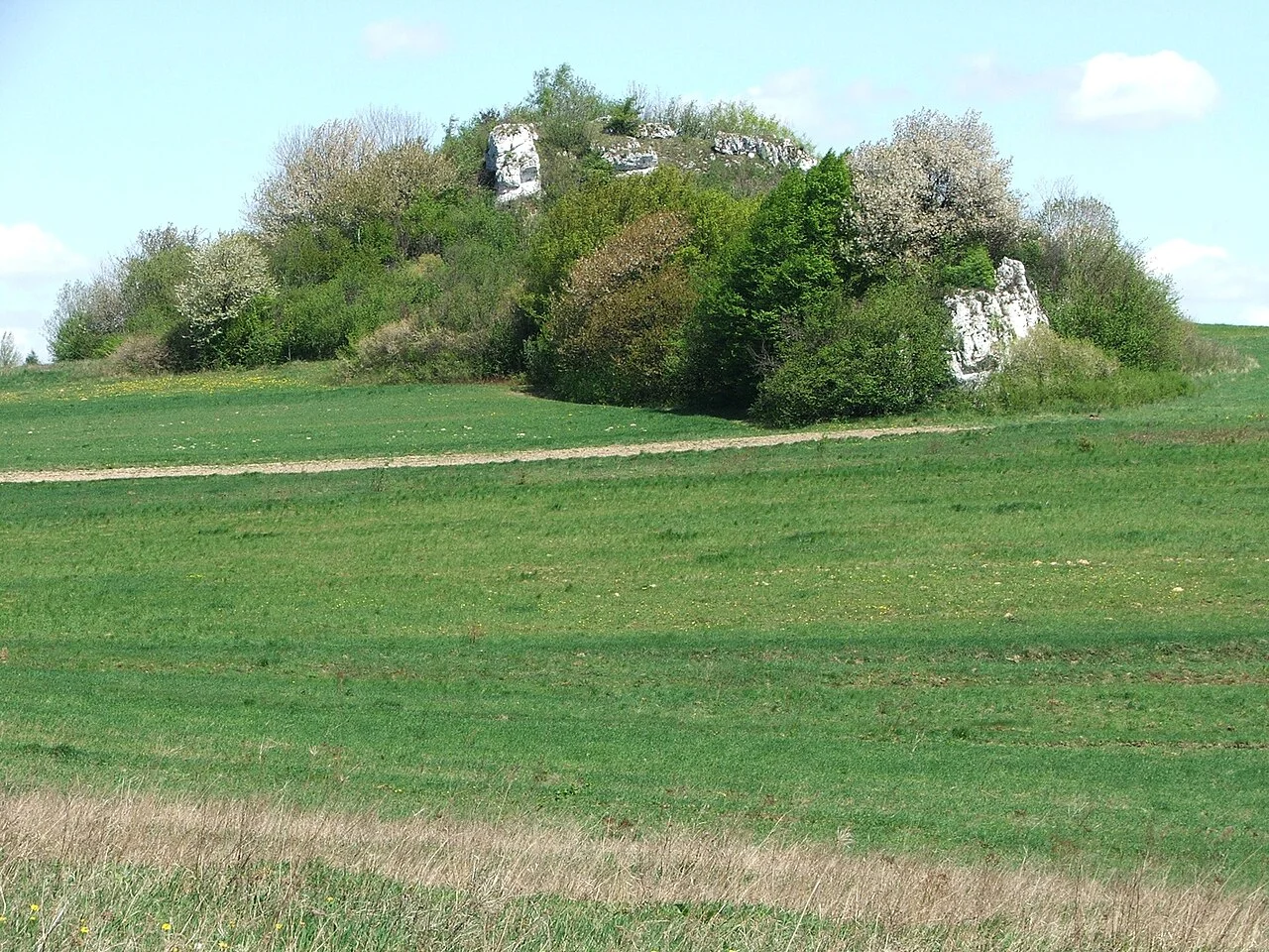 Photo of Jerzmanowice