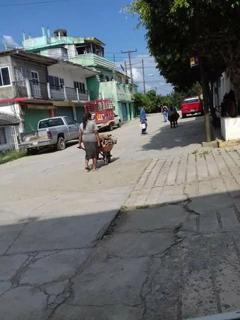 Photo of Jesús Carranza