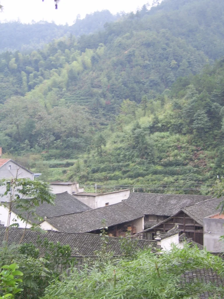 Photo of Jiangnan