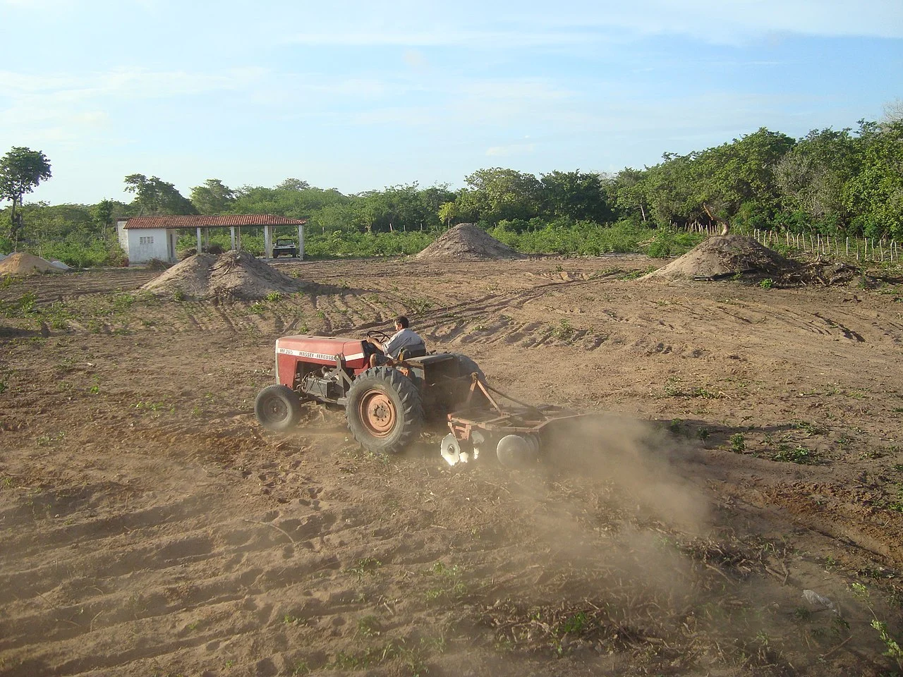 Photo of Jijoca de Jericoacoara