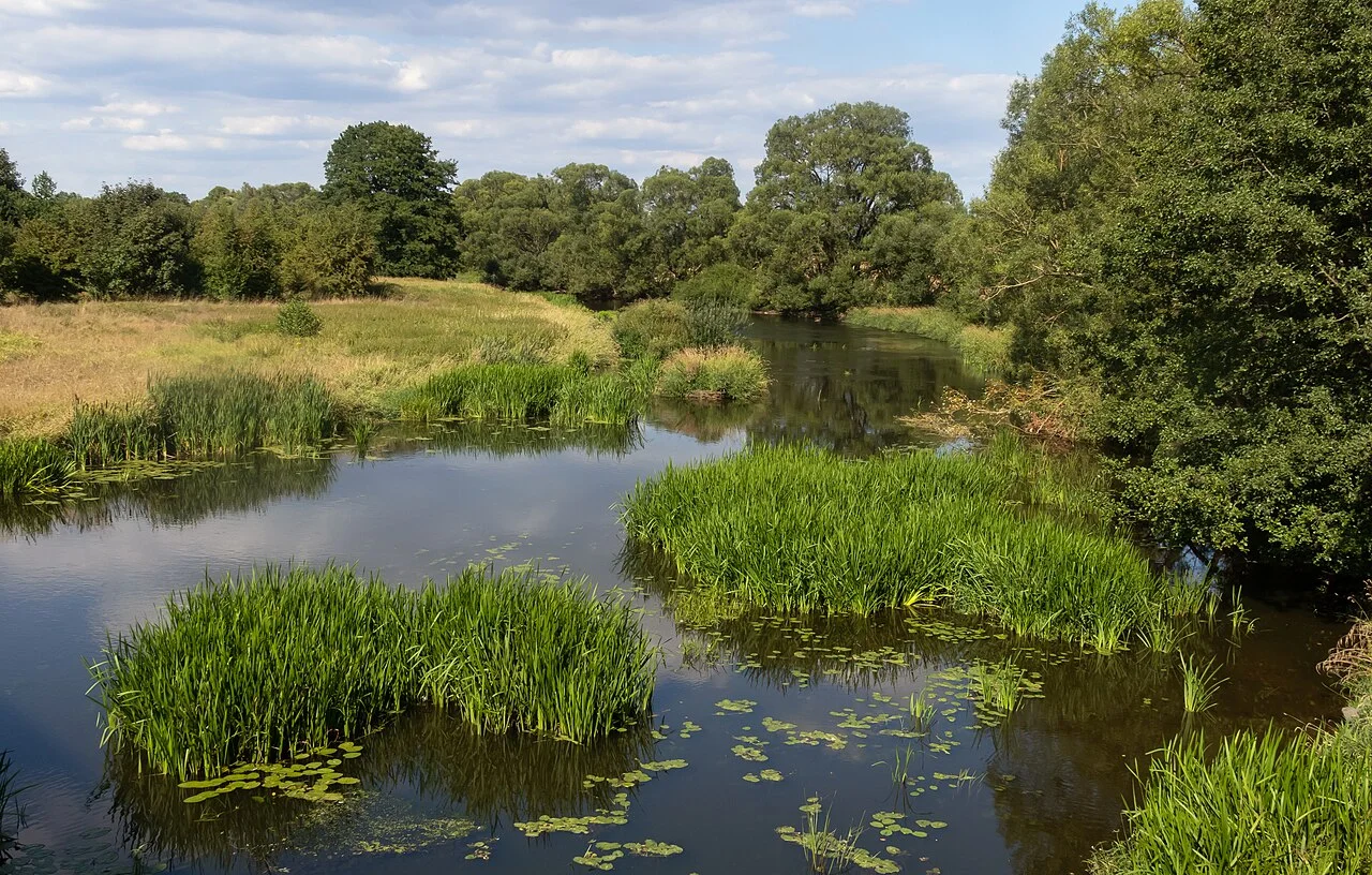 Photo of Jindřichov
