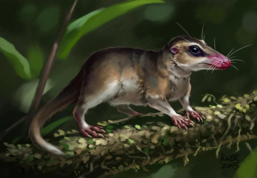 Photo of Jiulongshan