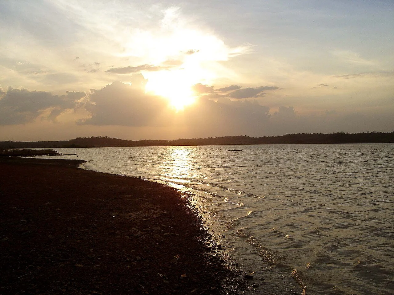 Photo of Joaquim Pires