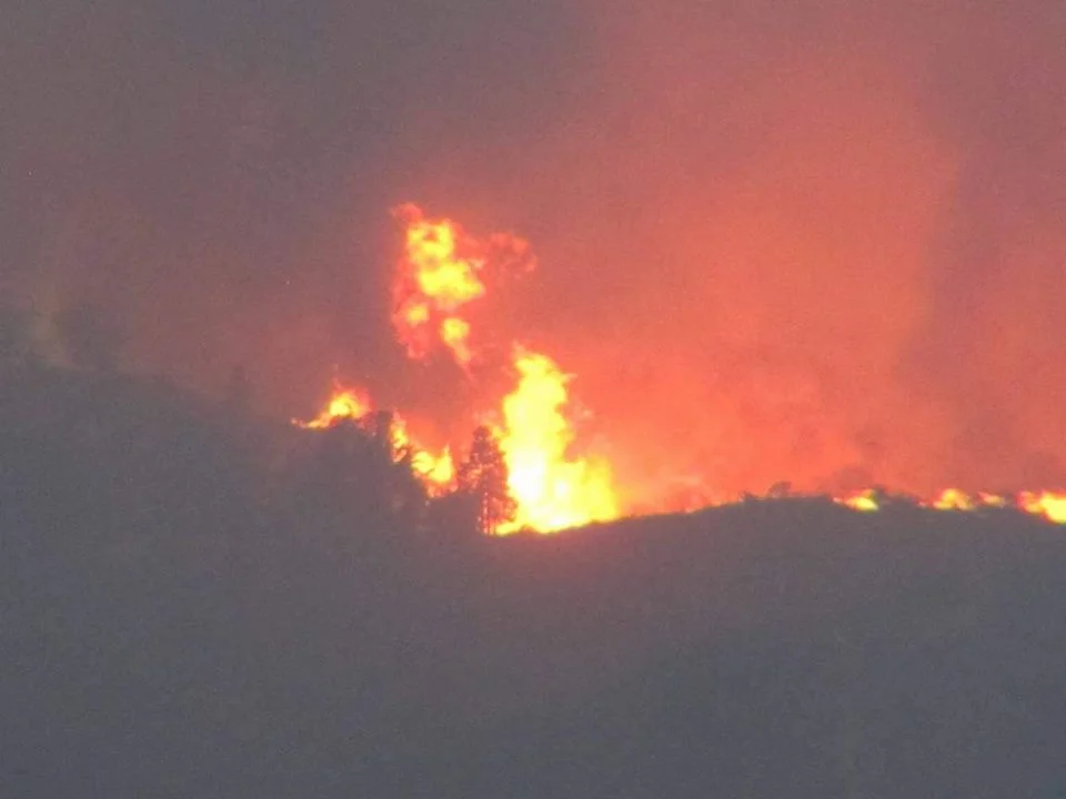 Photo of Joconoxtle (La Tuna)