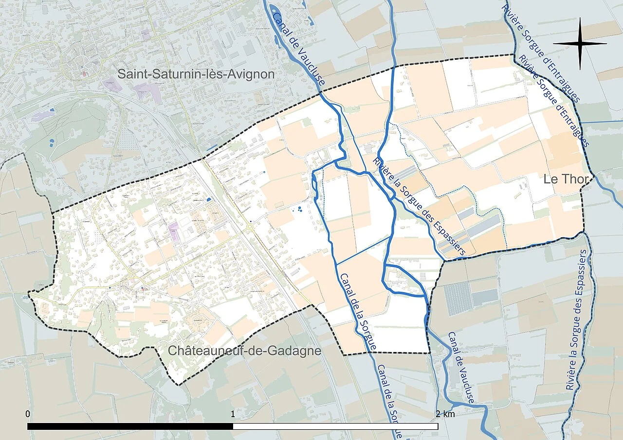 Photo of Jonquerettes