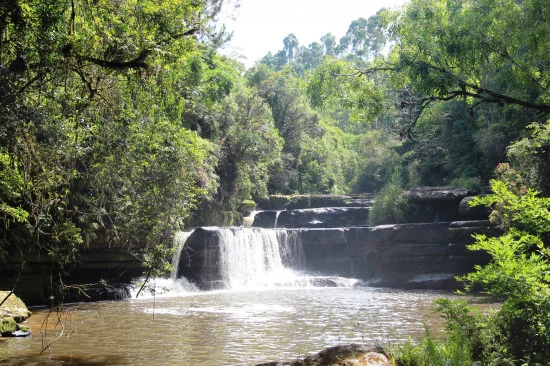 Photo of José Boiteux