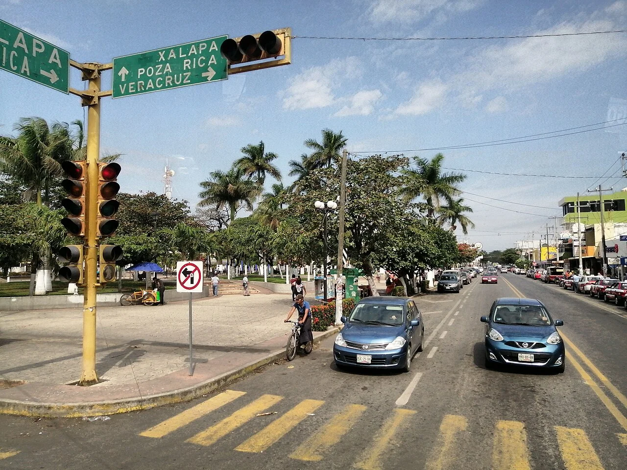 Photo of José Cardel