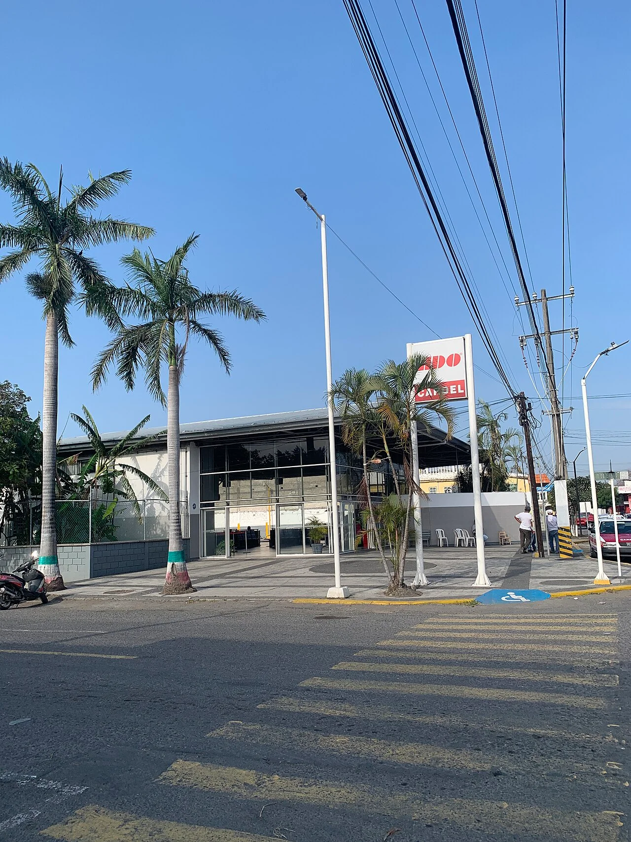 Photo of José Cardel