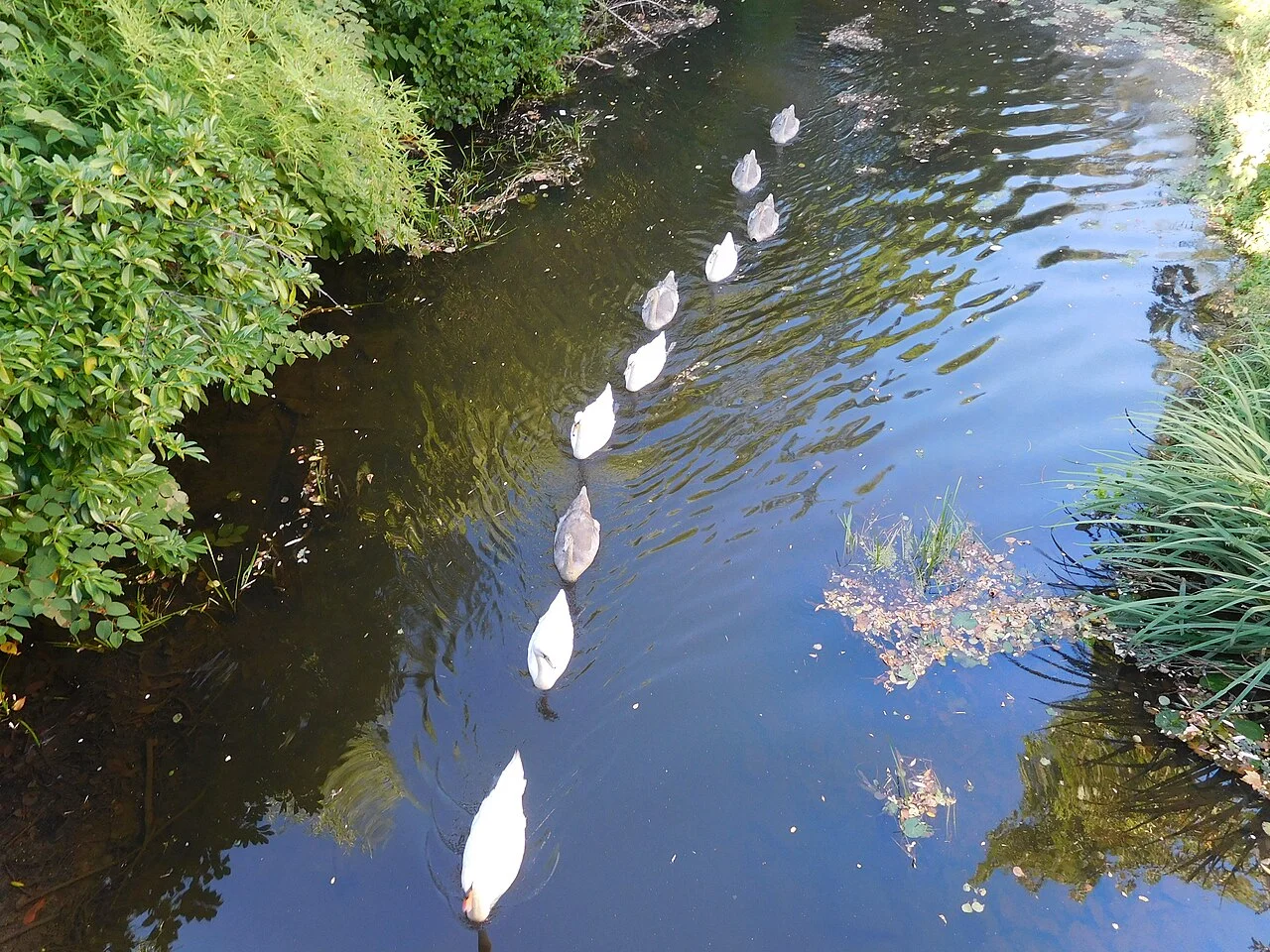 Photo of Jouet-sur-l'Aubois