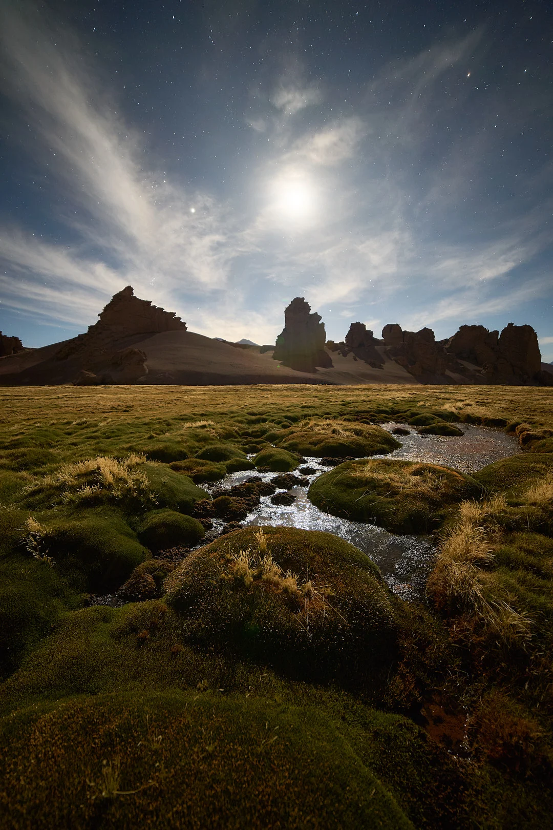 Photo of Juncalito Abajo