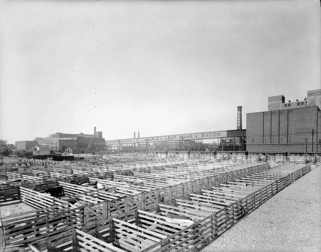 Photo of Junction Area