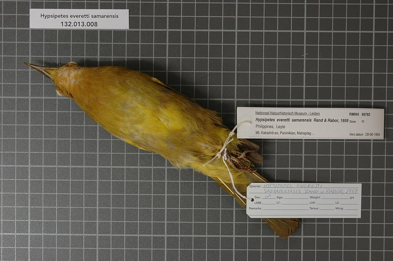 Photo of Kabalantian