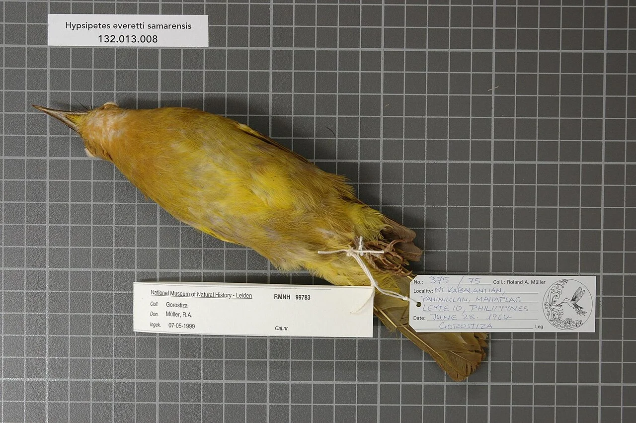 Photo of Kabalantian