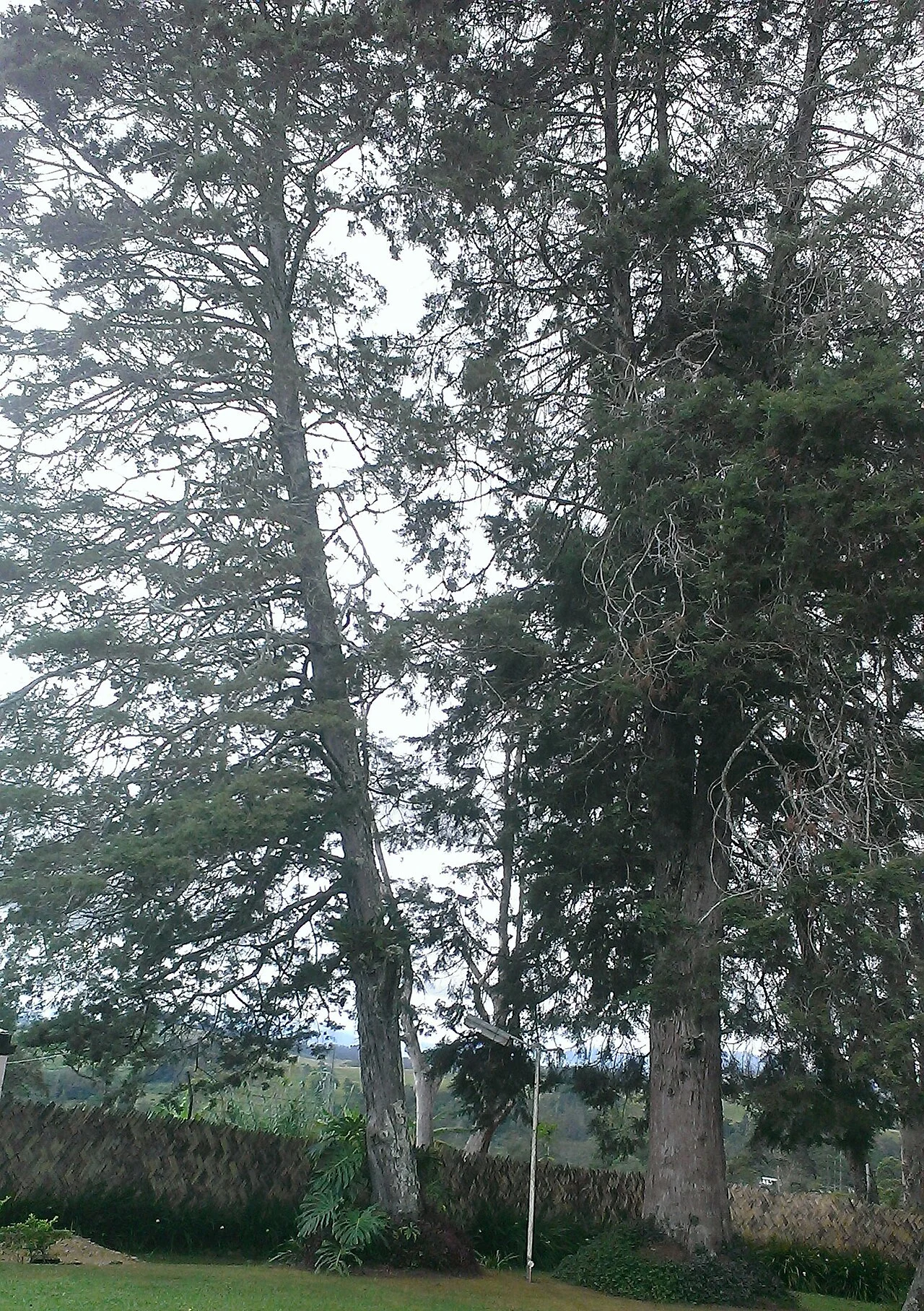 Photo of Kainantu