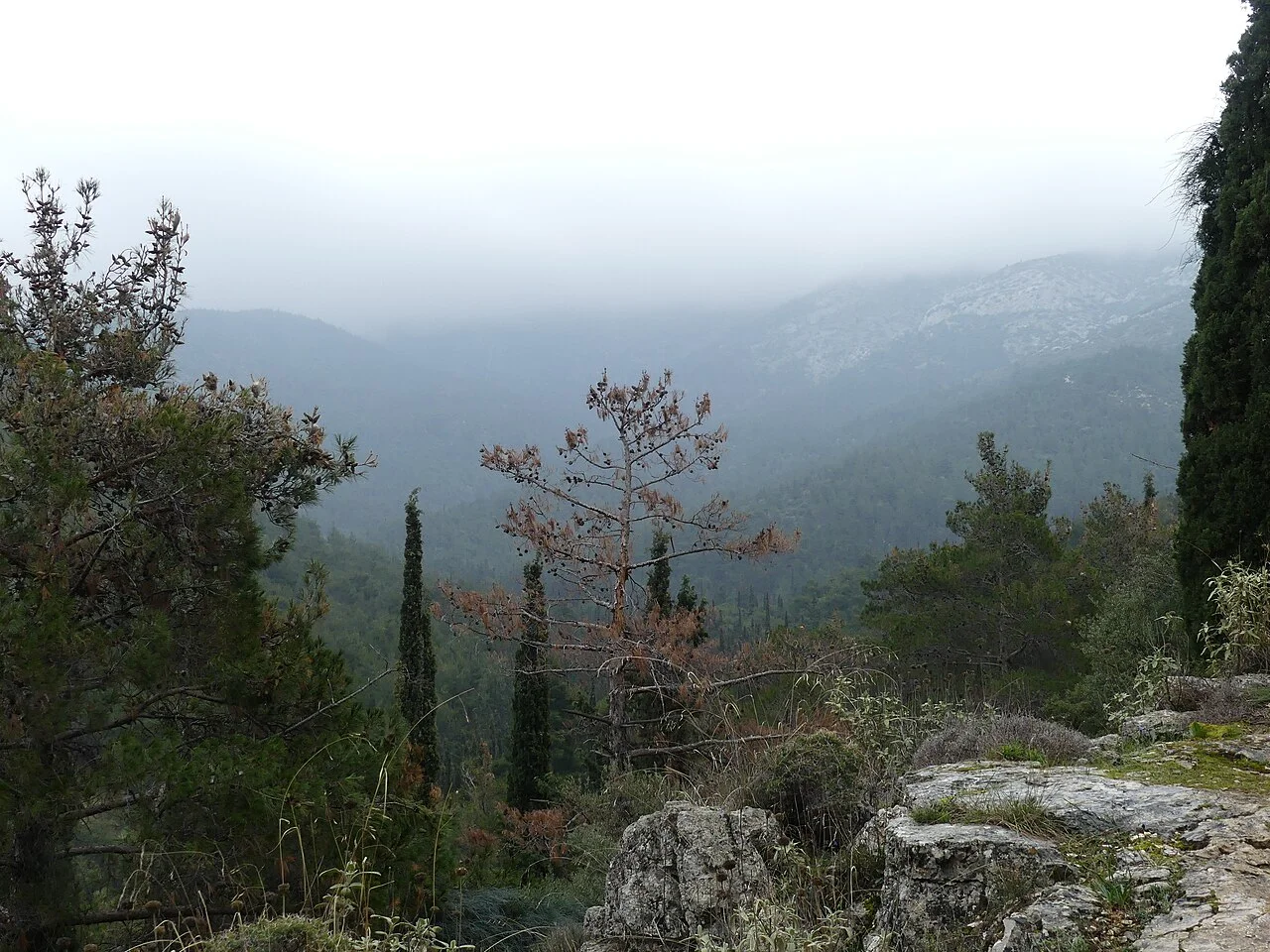 Photo of Kaisarianí