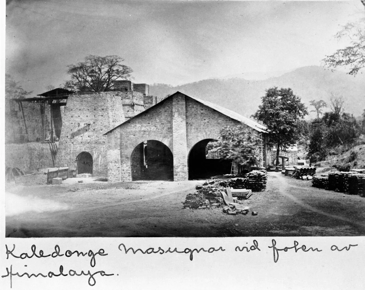 Photo of Kālādhūngi