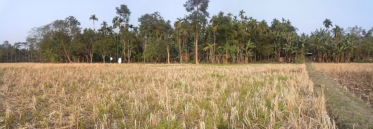 Photo of Kālāigaon
