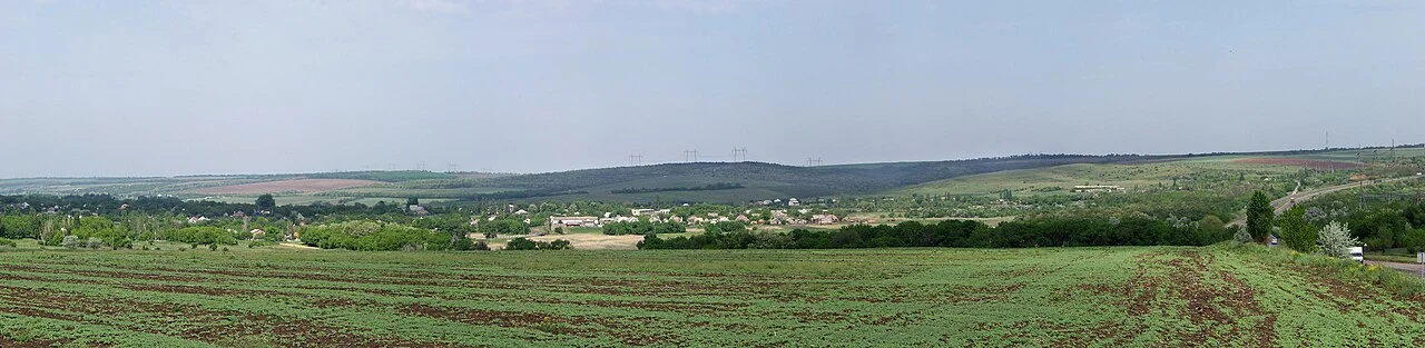 Photo of Kalynove