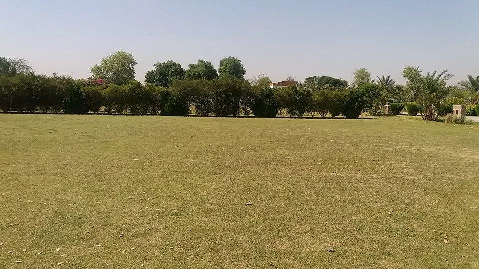 Photo of Kamar Mushani