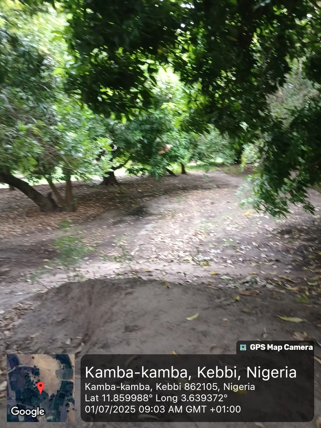 Photo of Kamba