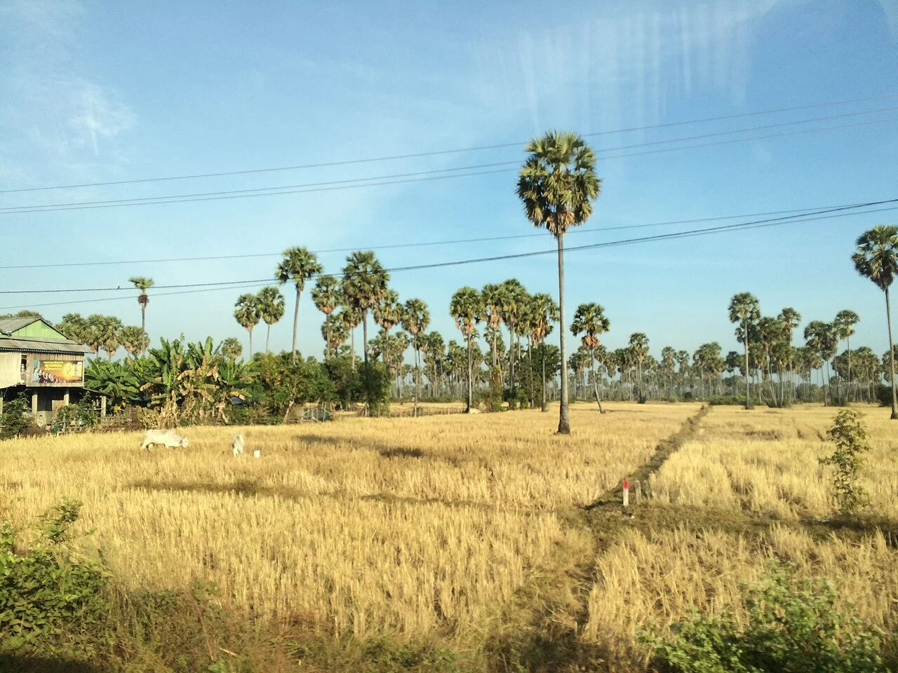 Photo of Kampong Chhnang