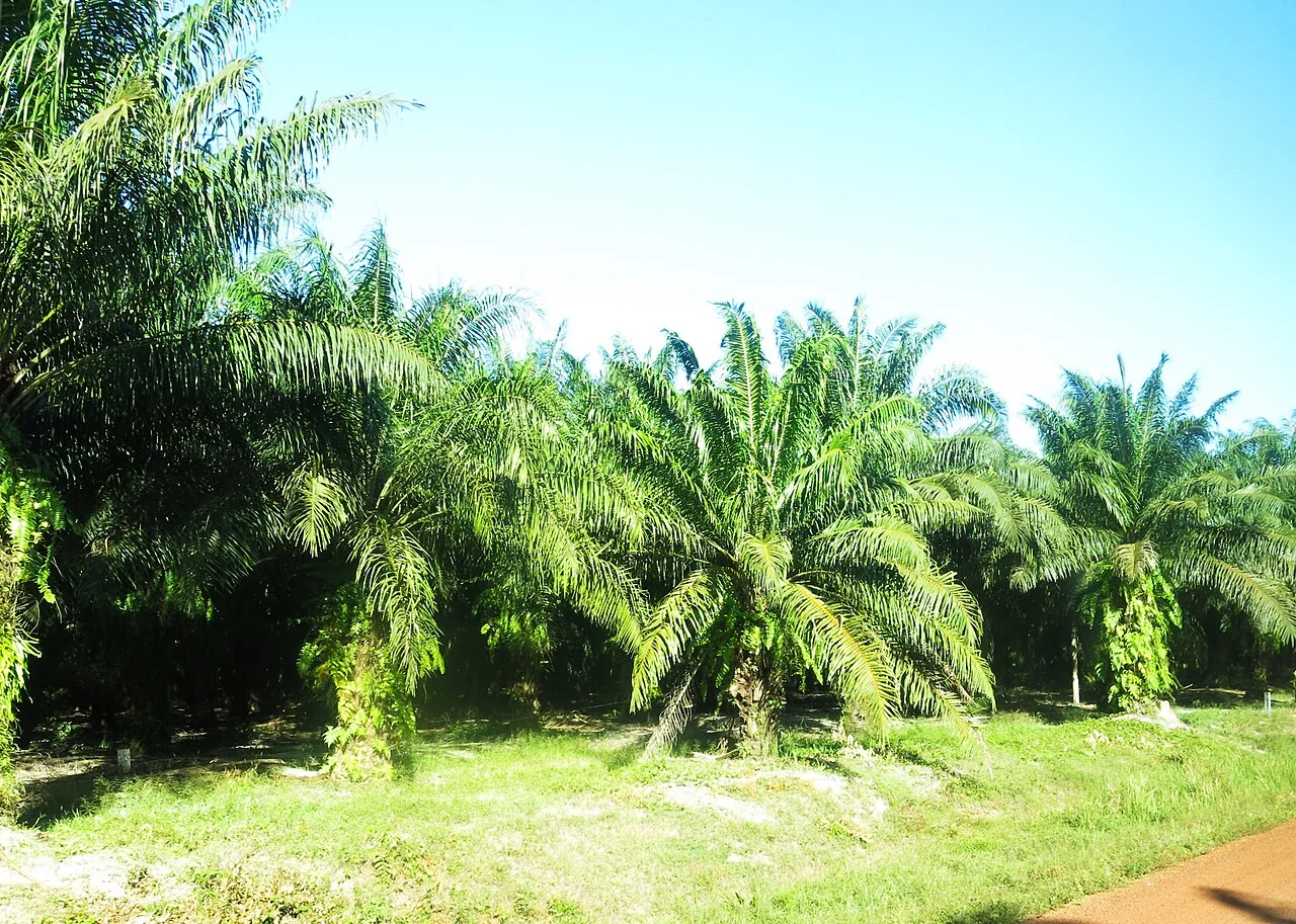 Photo of Kampong Seila