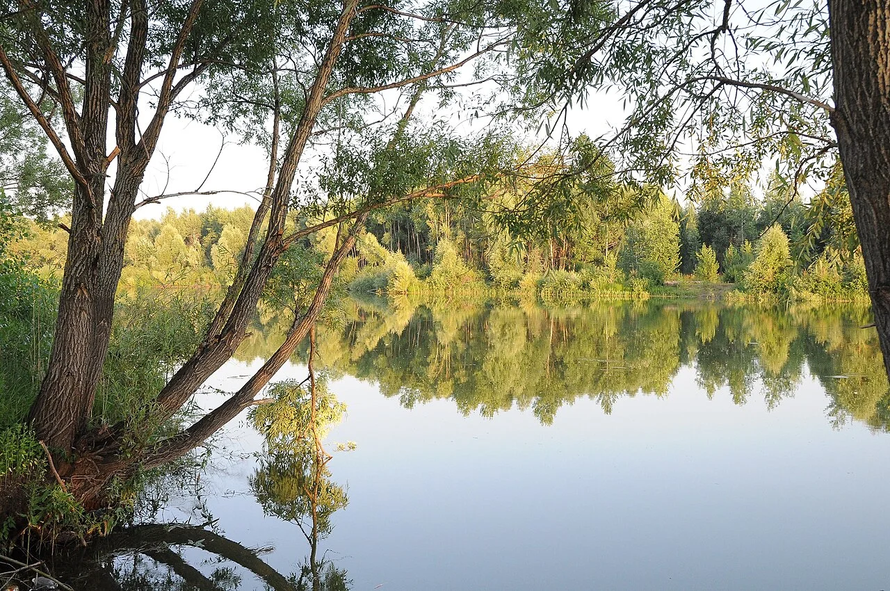 Photo of Kamskiye Polyany