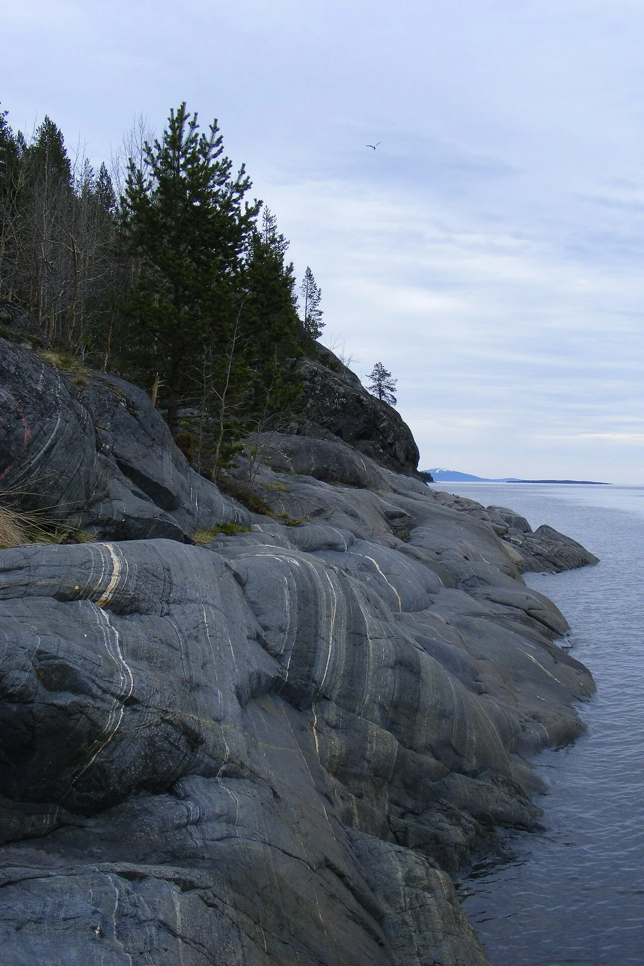 Photo of Kandalaksha