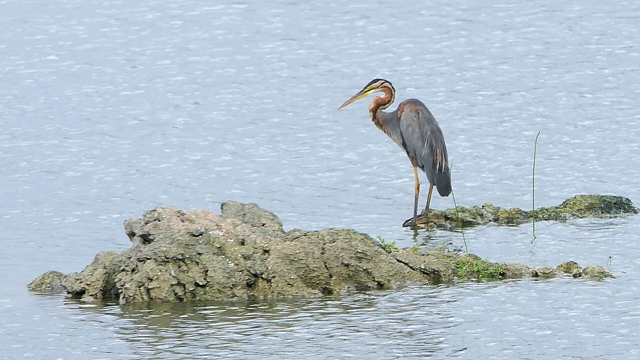 Photo of Kannapalayam