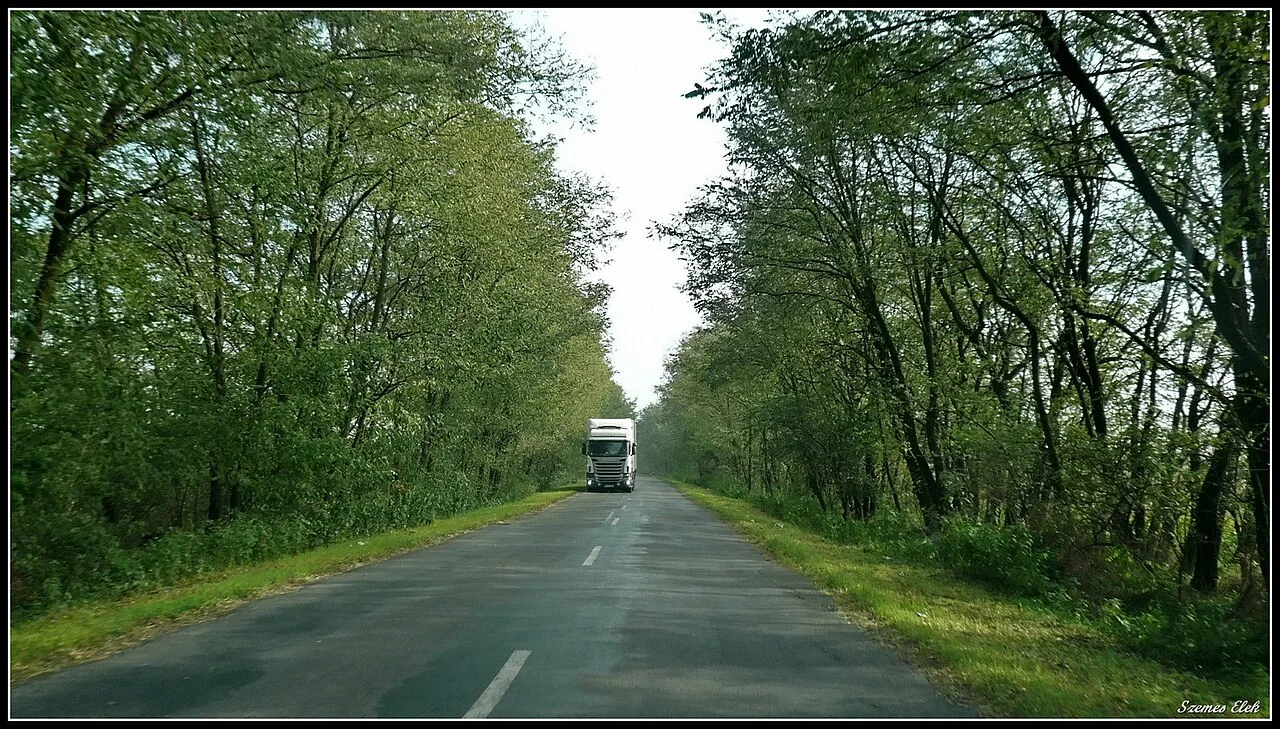 Photo of Kántorjánosi