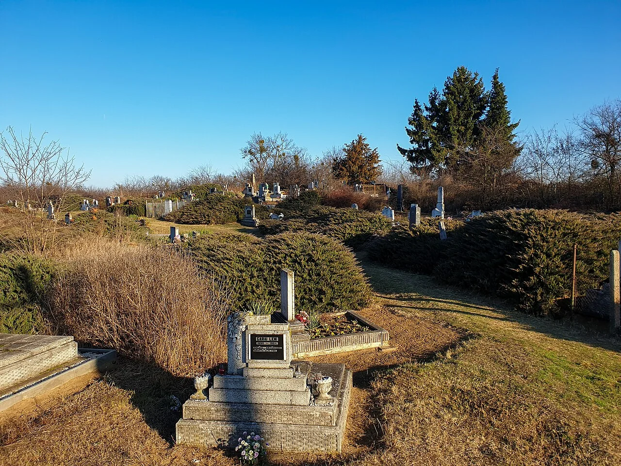 Photo of Kántorjánosi