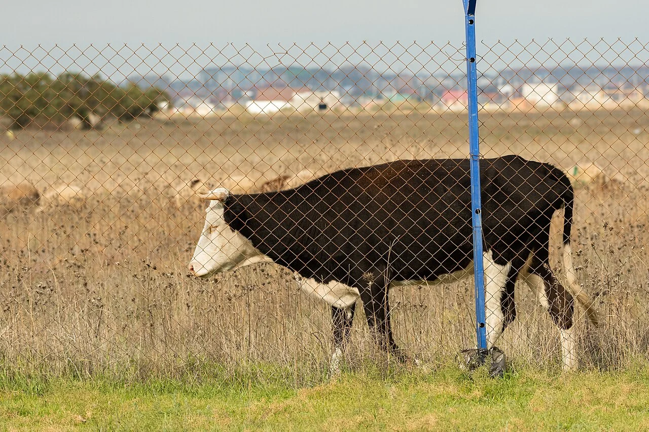 Photo of Karabudakhkent