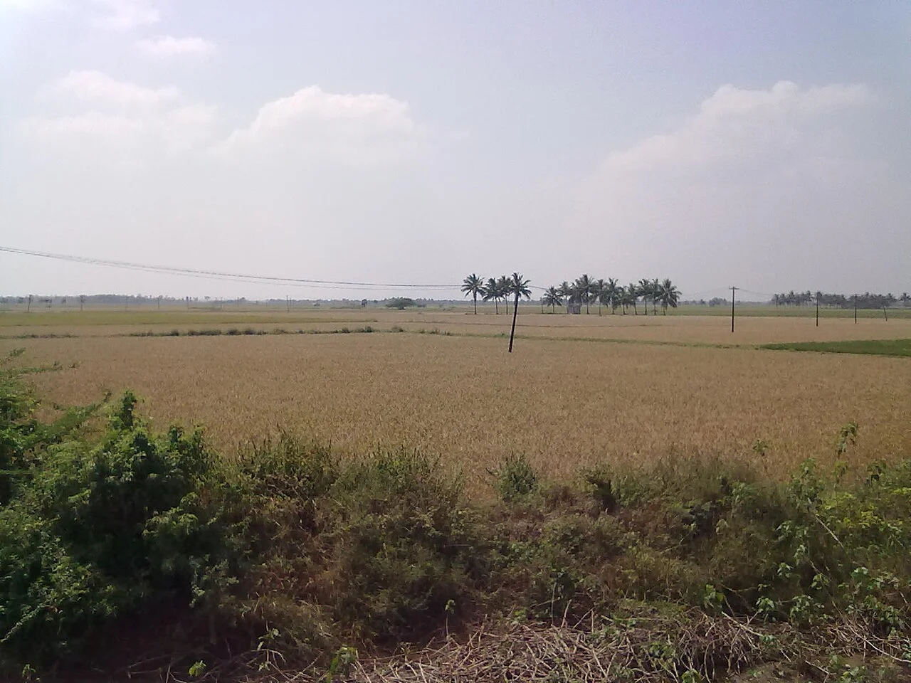 Photo of Karambakkudi