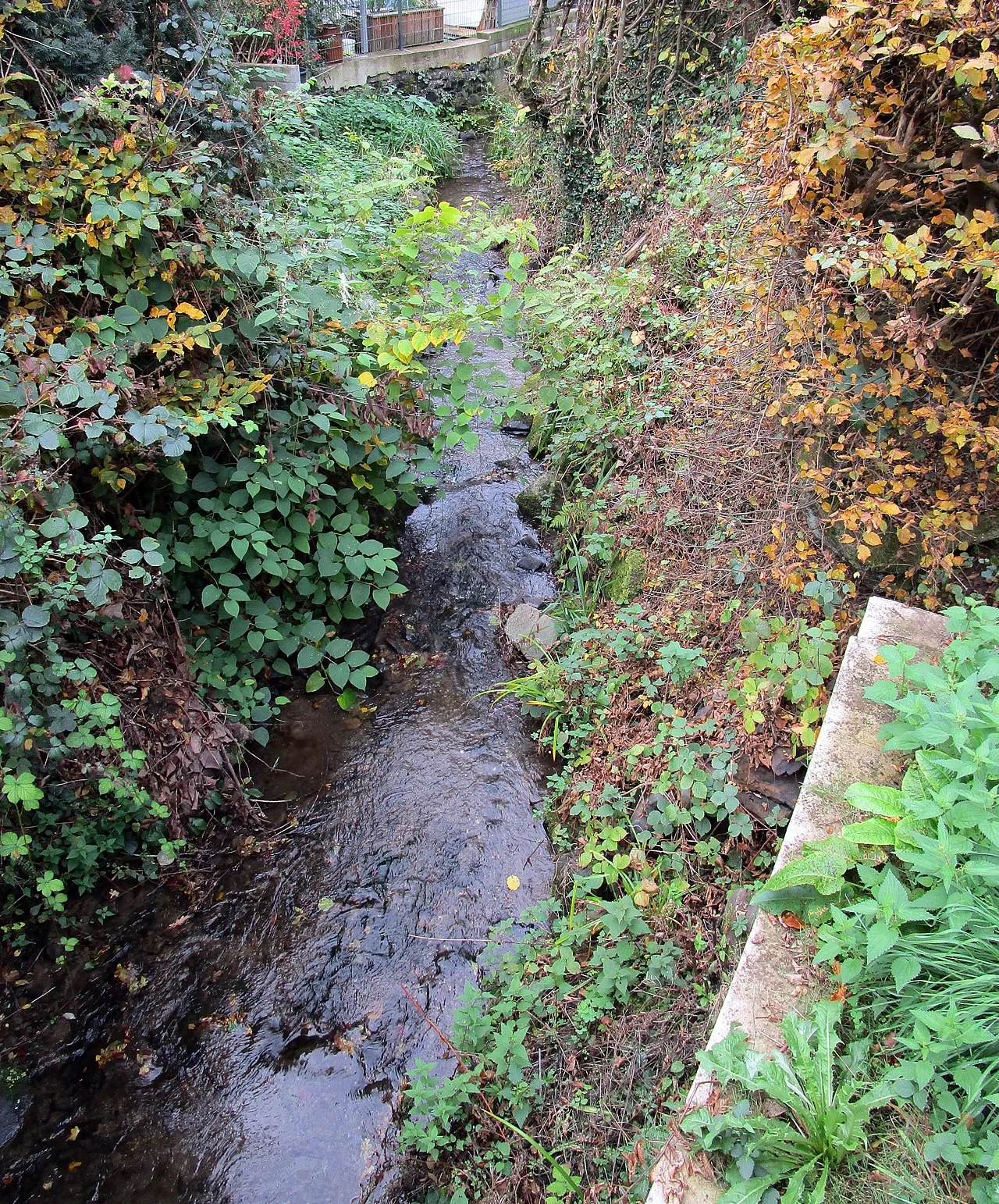 Photo of Kasbach-Ohlenberg