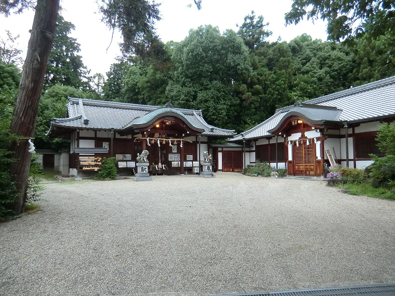 Photo of Kashiba
