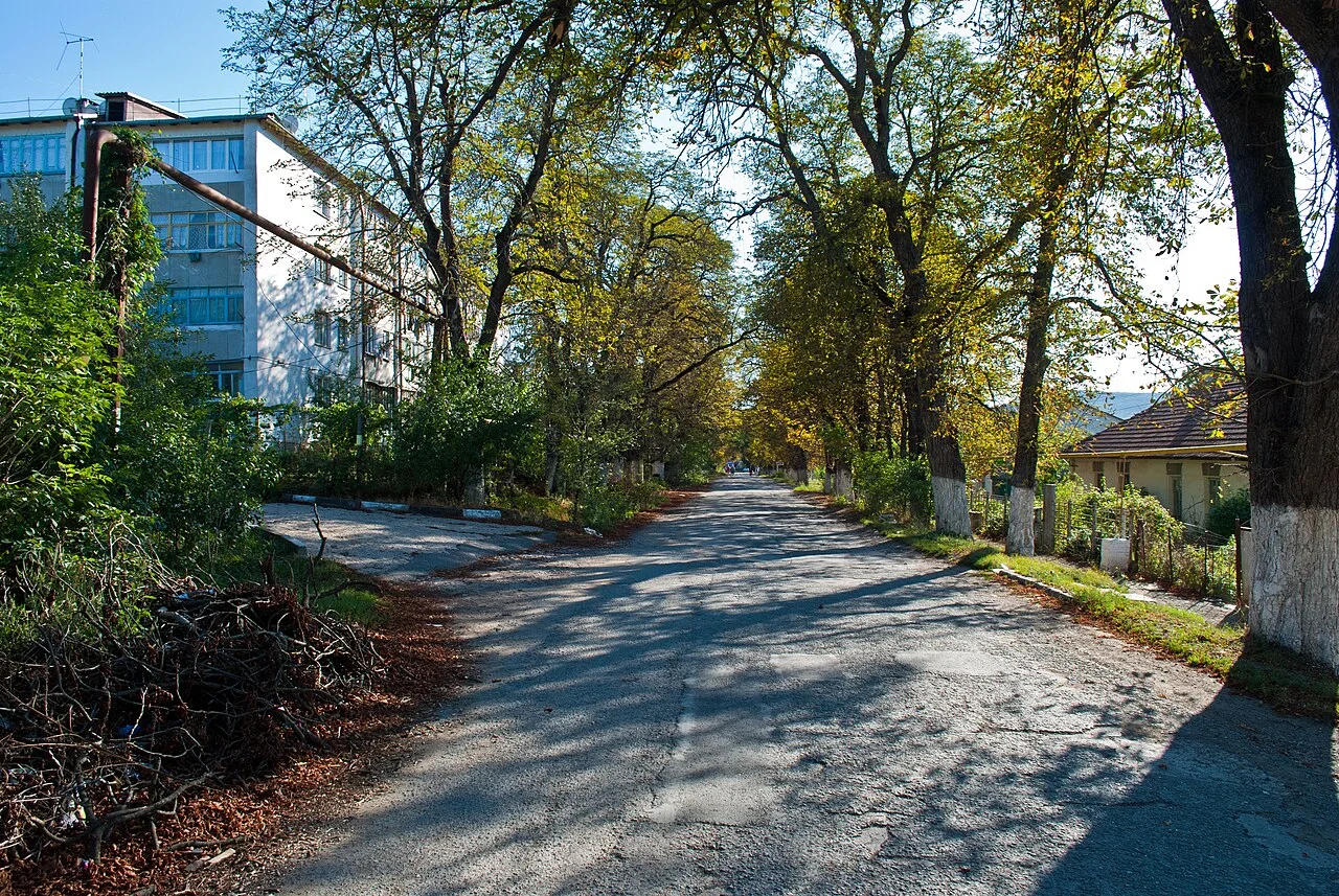 Photo of Kashtanovoye