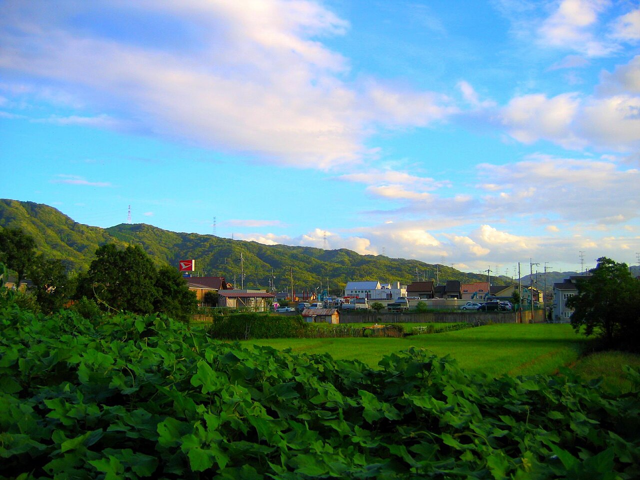 Katano fields