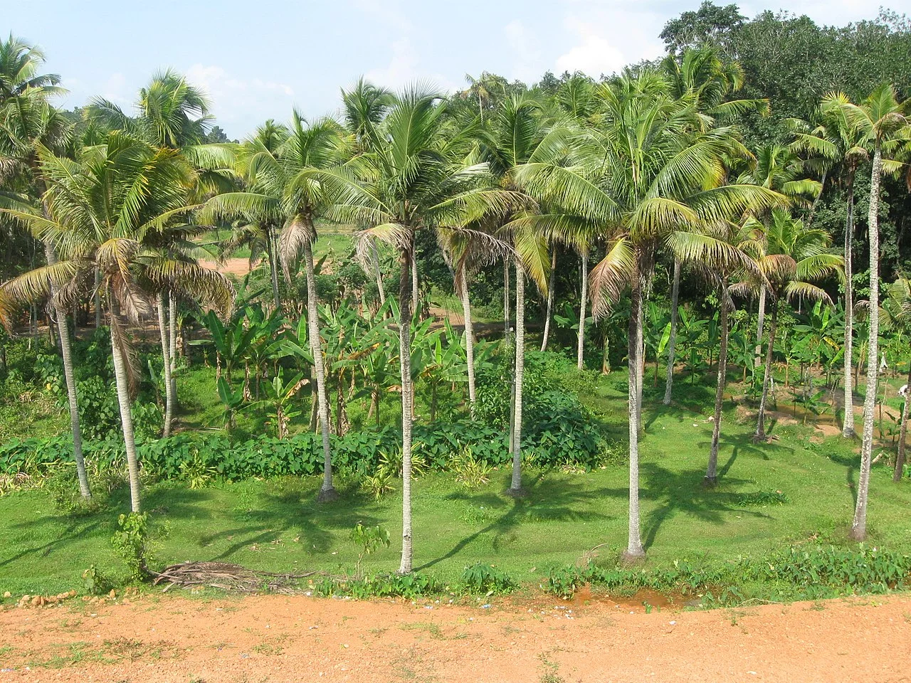 Photo of Kayamkulam