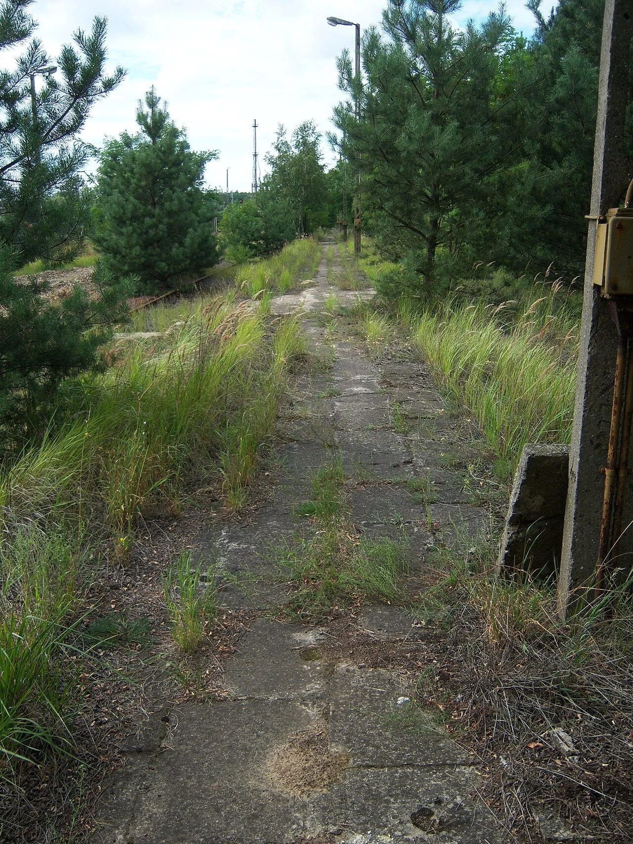 Photo of Kazimierz Biskupi