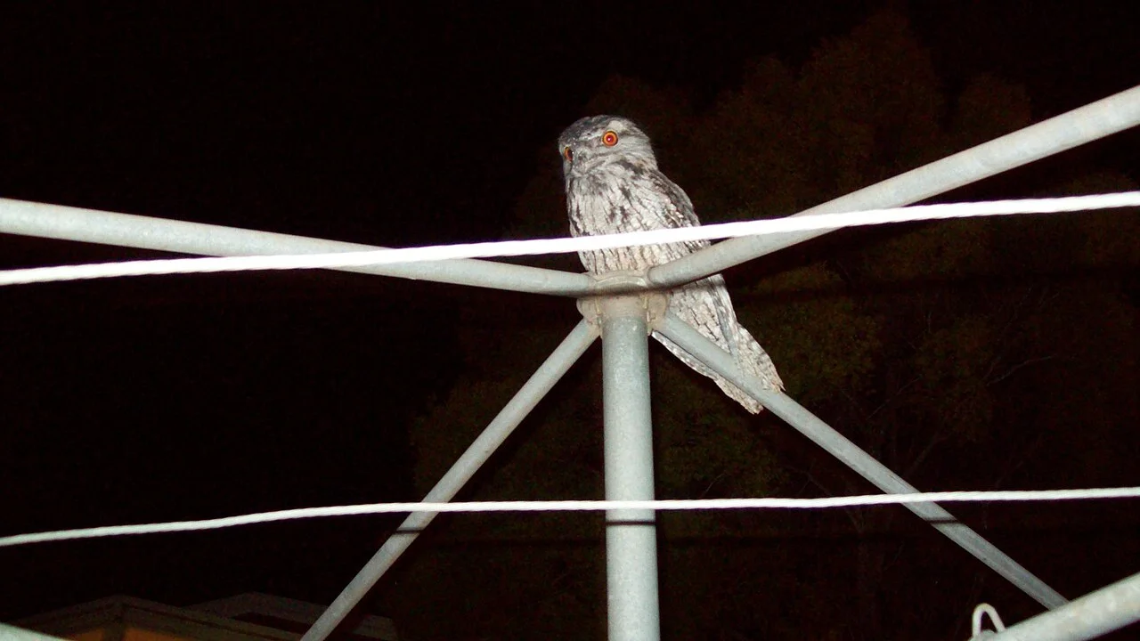 Photo of Kearneys Spring