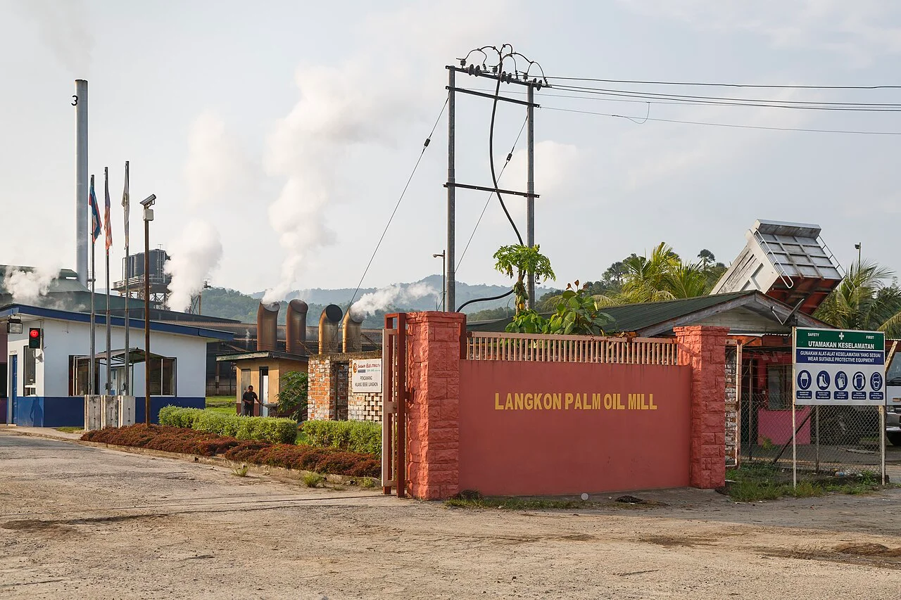 Photo of Kelapa Sawit