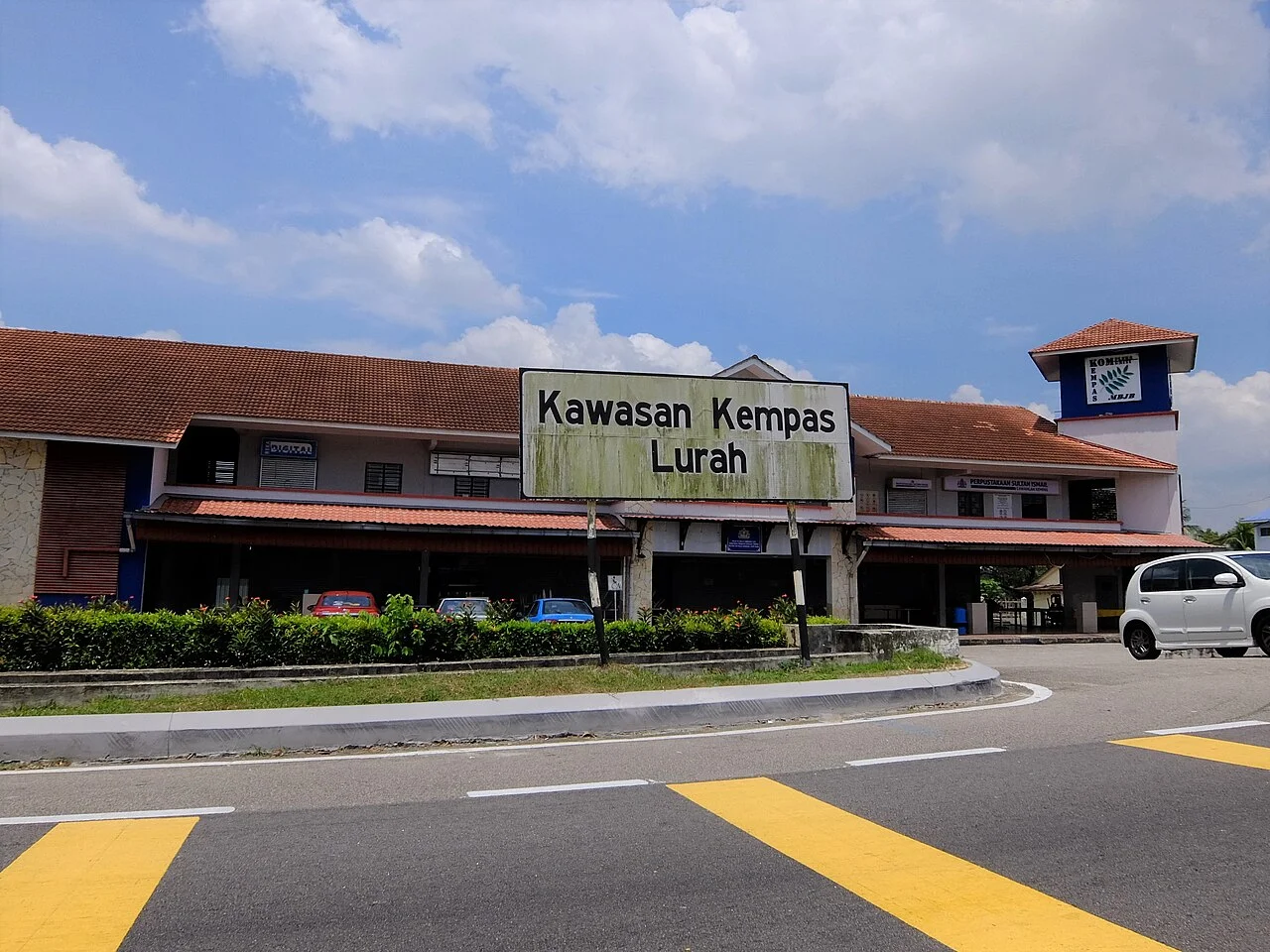 Photo of Kempas